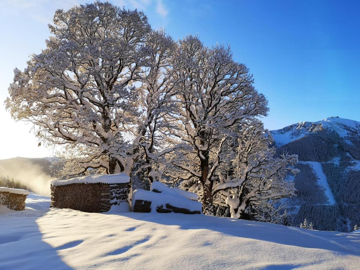 Chalé Sinnlehen Alm Saalbach-Hinterglemm