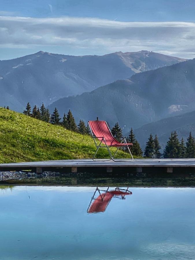Sinnlehen Alm * Saalbach-Hinterglemm