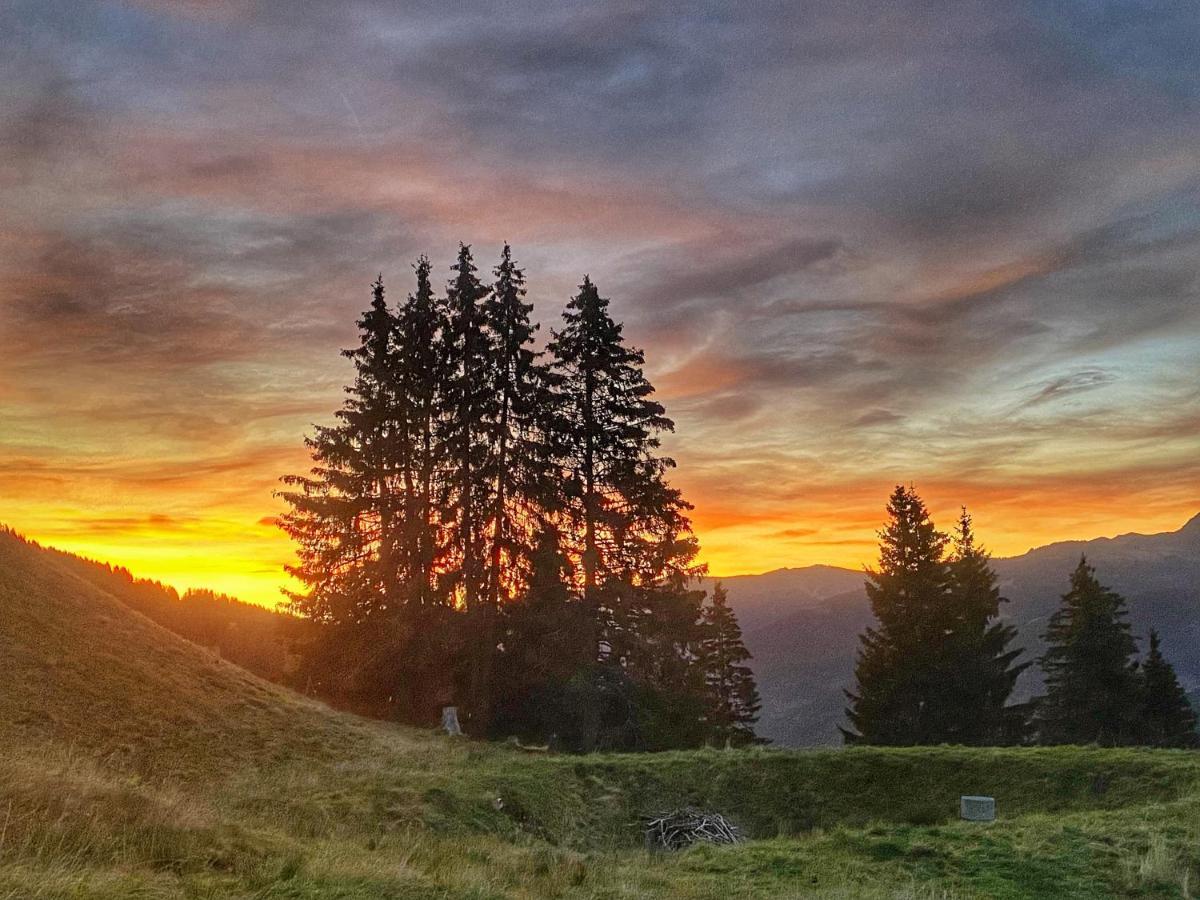 Chalé Sinnlehen Alm Saalbach-Hinterglemm